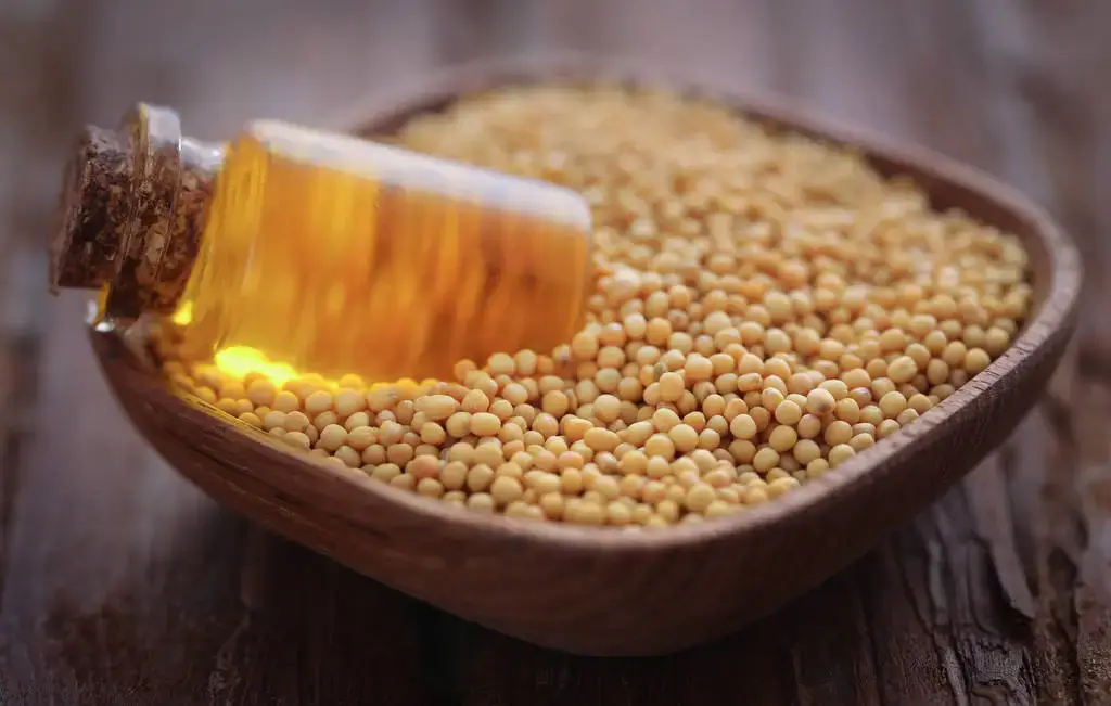 Is Mustard Good for You