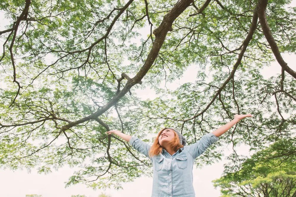 Health Threetrees Com VN
